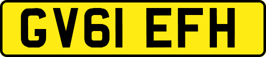 GV61EFH