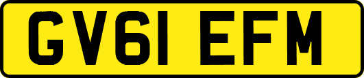 GV61EFM
