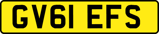 GV61EFS