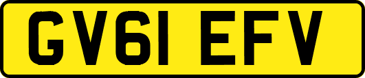 GV61EFV