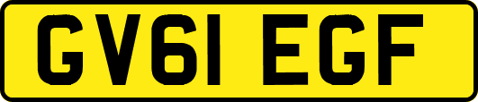 GV61EGF