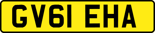 GV61EHA