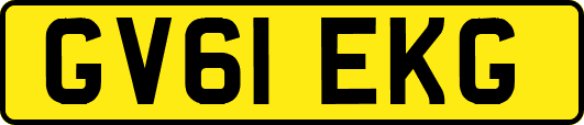 GV61EKG