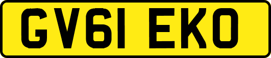 GV61EKO