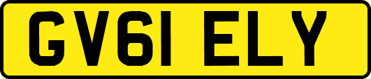 GV61ELY