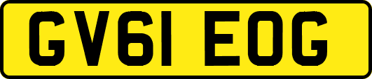 GV61EOG