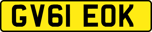 GV61EOK