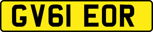 GV61EOR