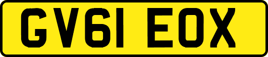 GV61EOX