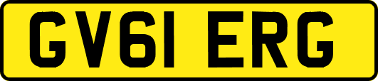 GV61ERG