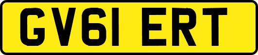 GV61ERT