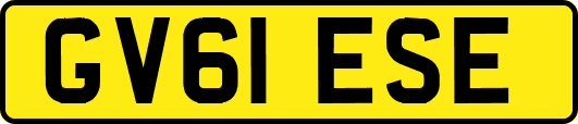 GV61ESE