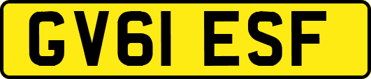GV61ESF