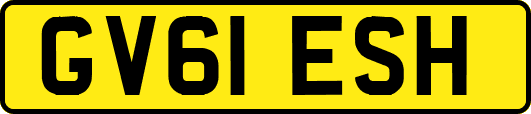 GV61ESH