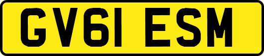GV61ESM