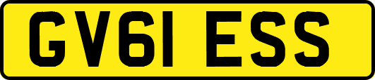 GV61ESS