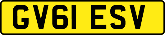 GV61ESV