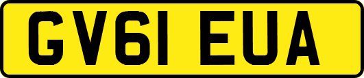 GV61EUA