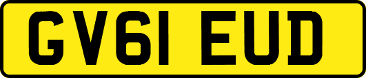 GV61EUD