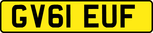 GV61EUF