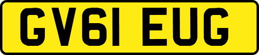 GV61EUG
