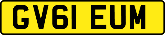 GV61EUM