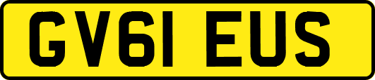 GV61EUS