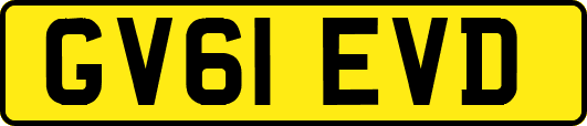 GV61EVD