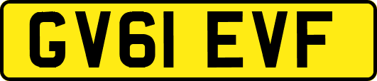 GV61EVF