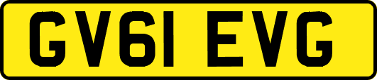 GV61EVG