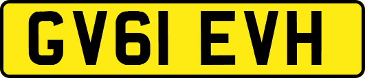 GV61EVH