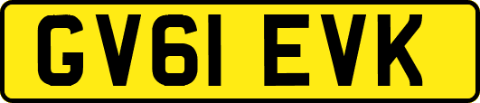 GV61EVK