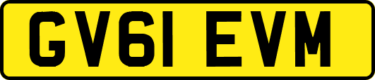 GV61EVM