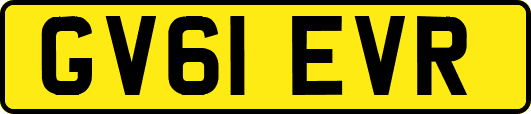 GV61EVR