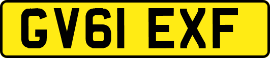 GV61EXF