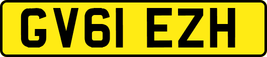 GV61EZH