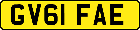 GV61FAE