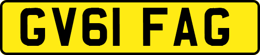GV61FAG