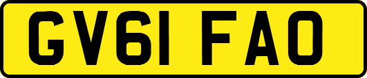 GV61FAO