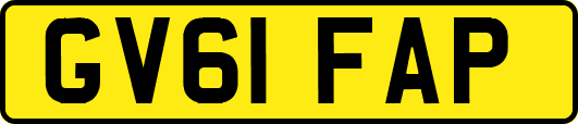 GV61FAP