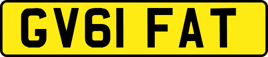 GV61FAT