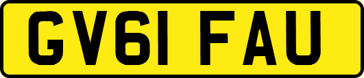 GV61FAU