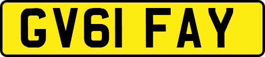GV61FAY