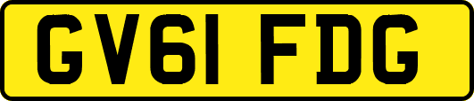 GV61FDG