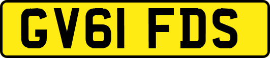 GV61FDS
