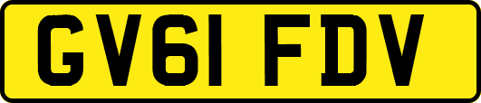 GV61FDV