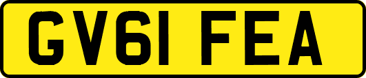 GV61FEA