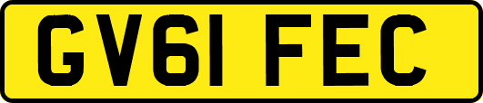 GV61FEC