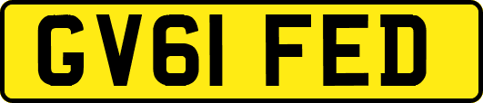GV61FED
