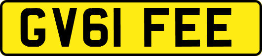 GV61FEE